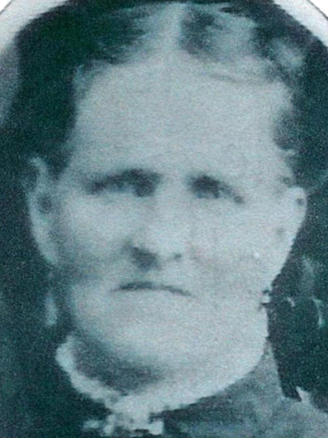 Harriet Neeley (1839 - 1904) Profile